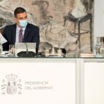 El presidente del Gobierno, Pedro Sánchez, durante el Consejo de Ministros en el Palacio de la Moncloa