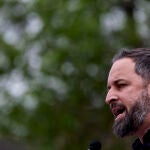 El presidente de Vox, Santiago Abascal, durante un mitin reciente