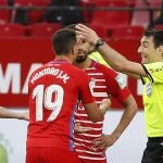 Los jugadores del Granada protestan al árbitro De Burgos Bengoetxea (2-d), durante el partido de Liga en Primera División ante el Sevilla disputado este domingo en el estadio Sánchez Pizjuán