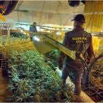 La Guardia Civil ha desmantelado una plantación de marihuana en el interior de una vivienda en Traspinedo (Valladolid)