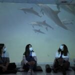 Durante las sesiones de mindfulness, se proyectan imágemes en realidad virtual que favorecen la relajación y el pensar en el ahora