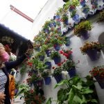 Una mujer fotografía las macetas del patio nº 28 de la calle Postrera de la Ruta del Alcázar Viejo de Córdoba