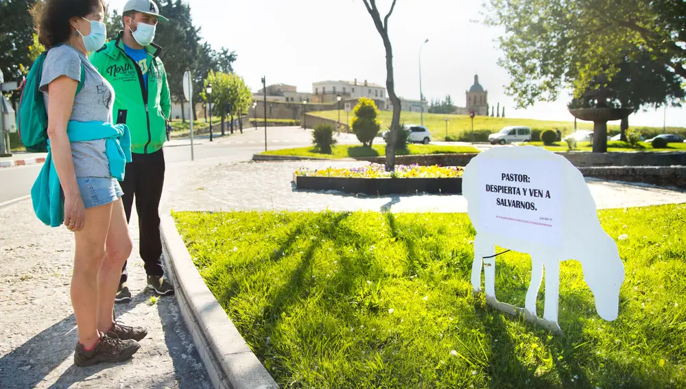 Las ovejas descarriadas de Ciudad Rodrigo
