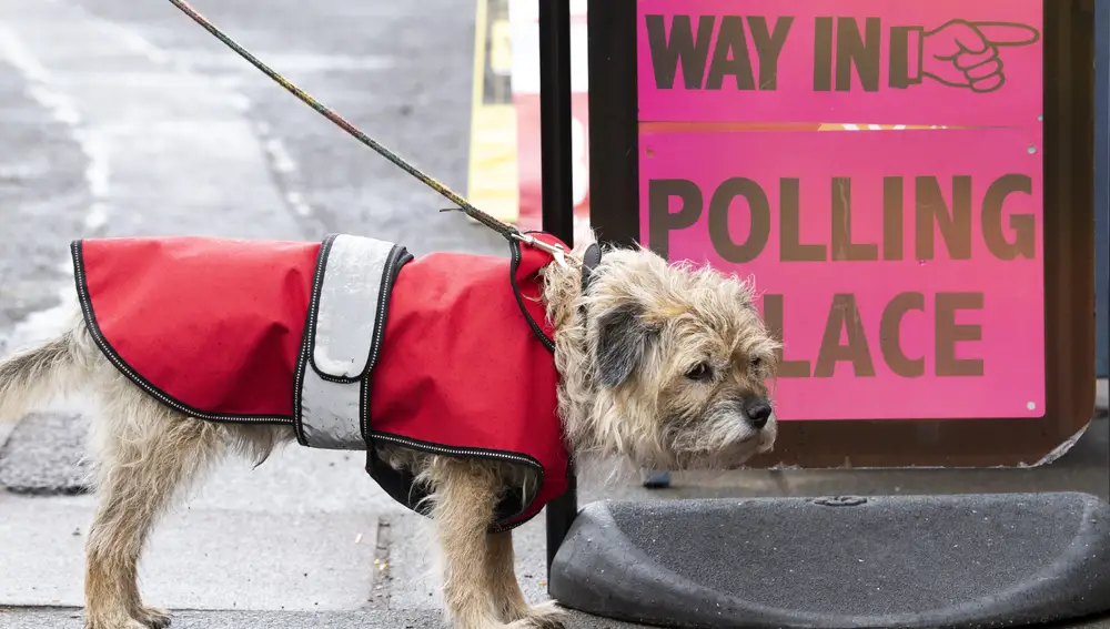 Bertie espera a que su dueño vote en la iglesia de Saint Stephen's Comely Bank en Edimburgo