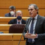 El senador del PP por Segovia, Juan José Sanz Vitorio, durante una intervención en el Senado