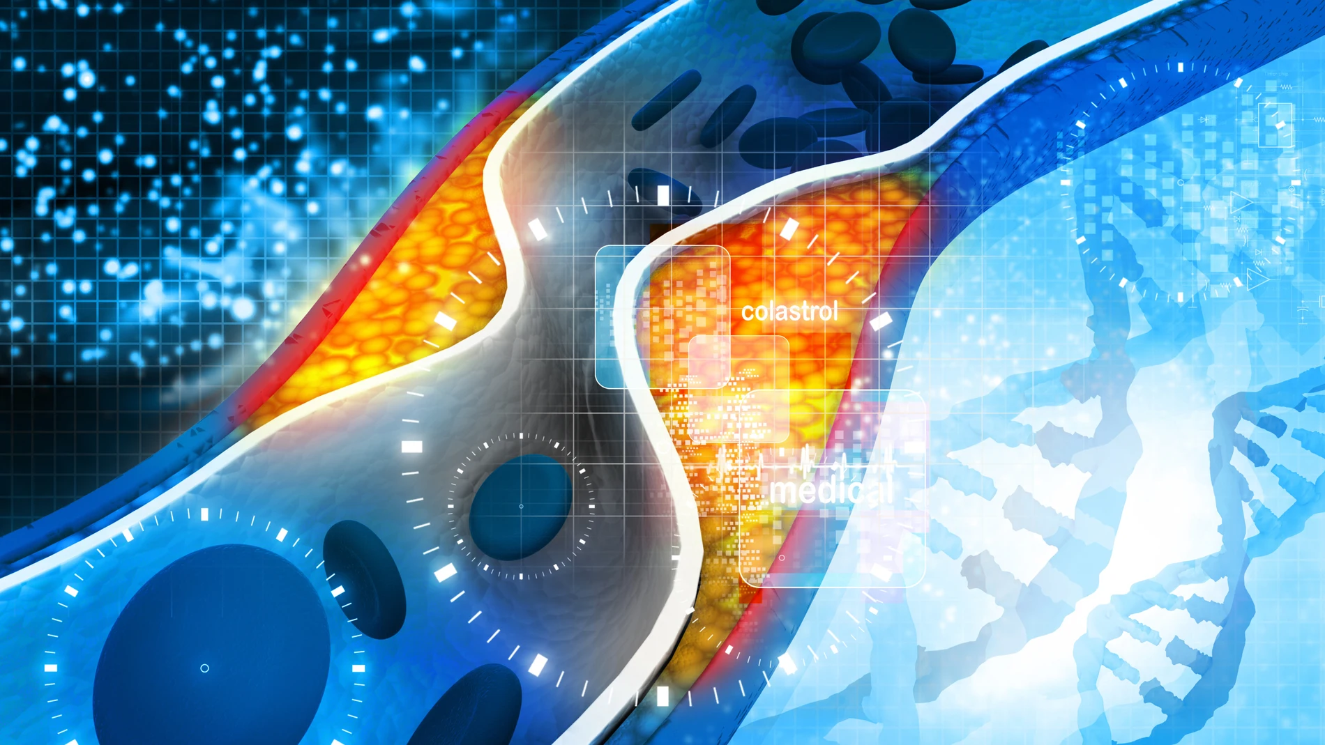 El ADN y la genética pueden determinar la predisposición a la obesidad