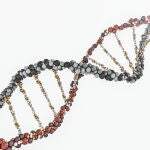 Analizando la composición del aire, sería posible identificar el ADN de las especies que habitan en un ecosistema concreto | Fuente: Dreamstime