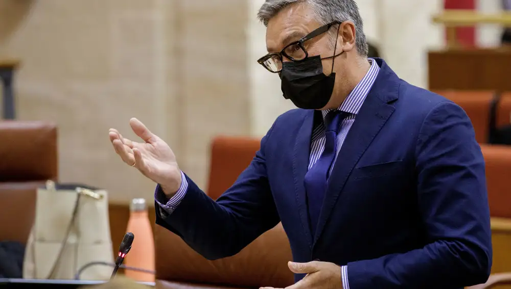 El portavoz del grupo parlamentario de Vox, Manuel Gavira