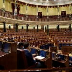 Pleno en el Congreso de los Diputados