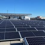 Placas solares fotovoltaicas