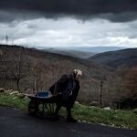 Mal otoño en la España vaciada