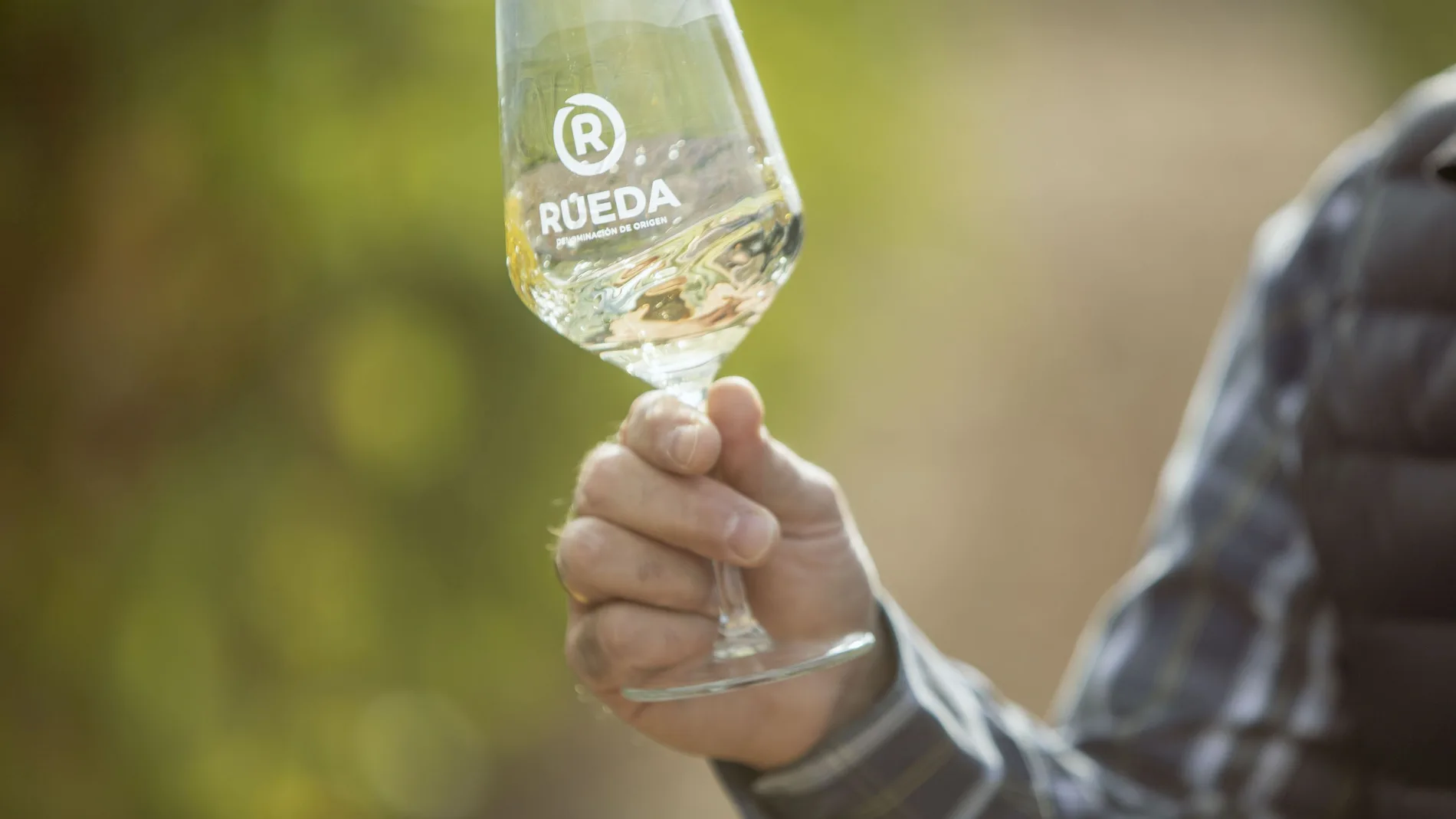 Los vinos de la DO Rueda siguen al alza