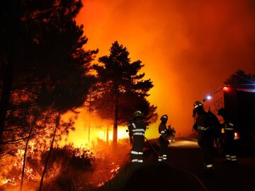 El incendio forestal se inici&oacute; en el t&eacute;rmino de Serradilla del Arroyo (Salamanca) alrededor de las 16.30 horas. Durante toda la noche cuadrillas de bomberos est&aacute;n luchando contra el fuego