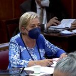 La senadora del Grupo Popular por Segovia, Paloma Sanz, durante su comparecencia