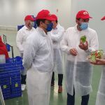 El consejero de Agua, Agricultura, Ganadería, Pesca y Medio Ambiente, Antonio Luengo, durante una visita a la empresa ElDulze, en San Javier