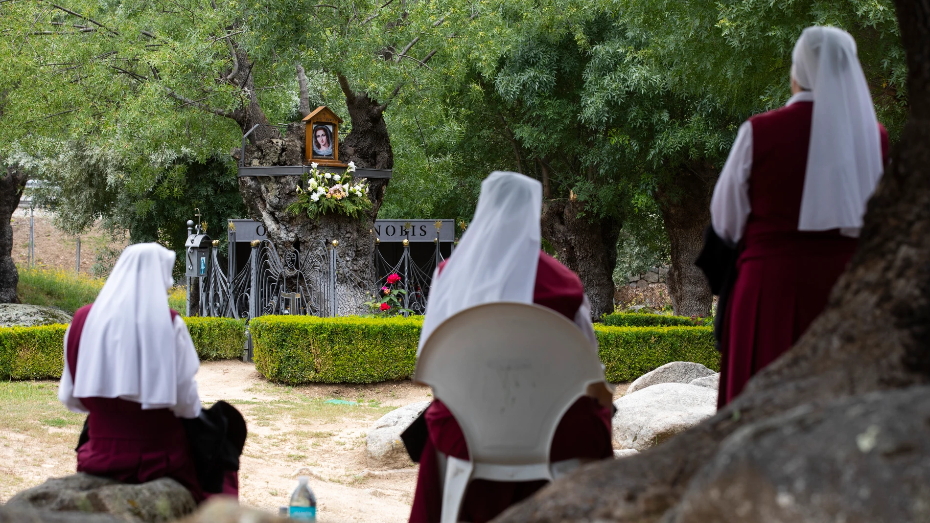 Unas monjas rezan en "Prado Nuevo", en el Escorial, lugar donde se apareció la Virgen en un árbol