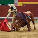 Toros