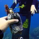 La cerveza solidaria "Mangurrián" ayudará a Innoceana en el estudio y la limpieza de los fondos marinos