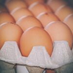 Huevos de gallina