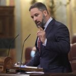 El líder de Vox, Santiago Abascal en el Congreso