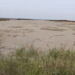 Vista de las marismas de Aznalcázar, en Sevilla, pertenecientes al espacio natural de Doñana, secas