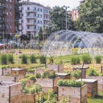 WWF aboga por un giro hacia modelos alimentarios sostenibles