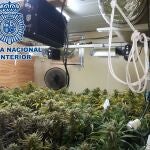 Una de las operaciones de la Policía Nacional en Sanlúcar de Barrameda