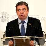 El ministro de Agricultura, Pesca y Alimentación, Luis Planas