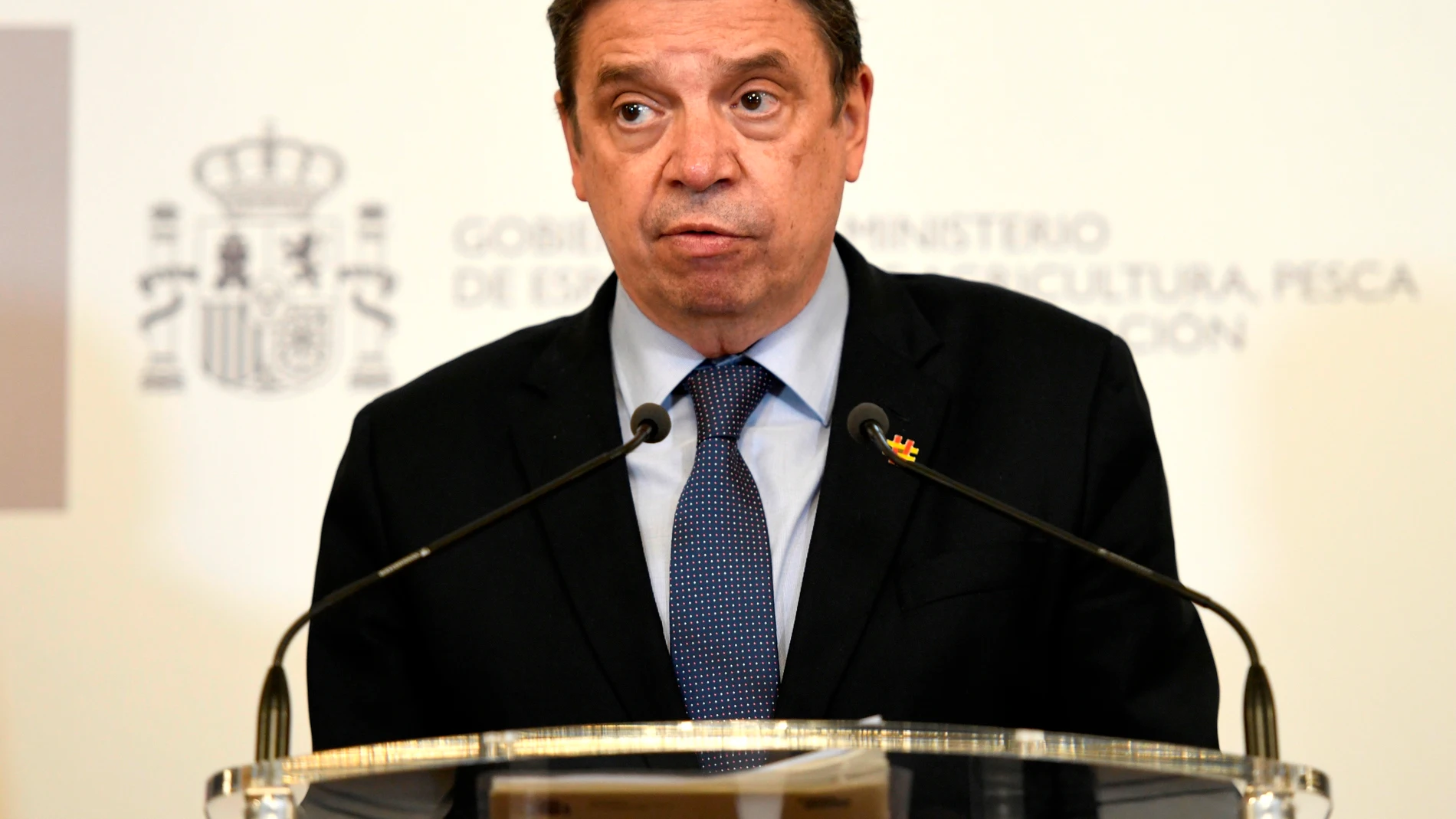 El ministro de Agricultura, Pesca y Alimentación, Luis Planas
