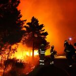El incendio forestal se inició en el término de Serradilla del Arroyo (Salamanca) en junio