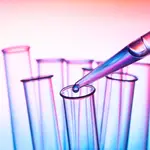 Esta comunicación intercelular es la que impulsa una respuesta inmunomoduladora y antiinflamatoria