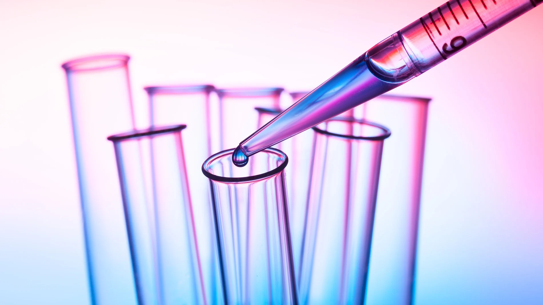 Esta comunicación intercelular es la que impulsa una respuesta inmunomoduladora y antiinflamatoria