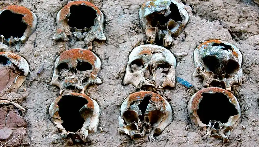 Antropología con perspectiva de género: antepasados sin sexo ni raza