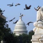 Imagen del icónico Capitolio de Estados Unidos