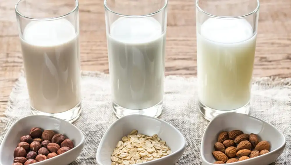 LECHE VEGETAL
