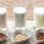 LECHE VEGETAL