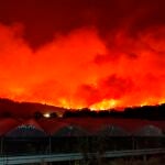 Grecia está viviendo la peor ola de calor en más de tres décadas, ya se han calcinado cientos de miles de hectáreas, se lamentan pérdidas humanas (dos muertos) y todavía se esperan días "duros"