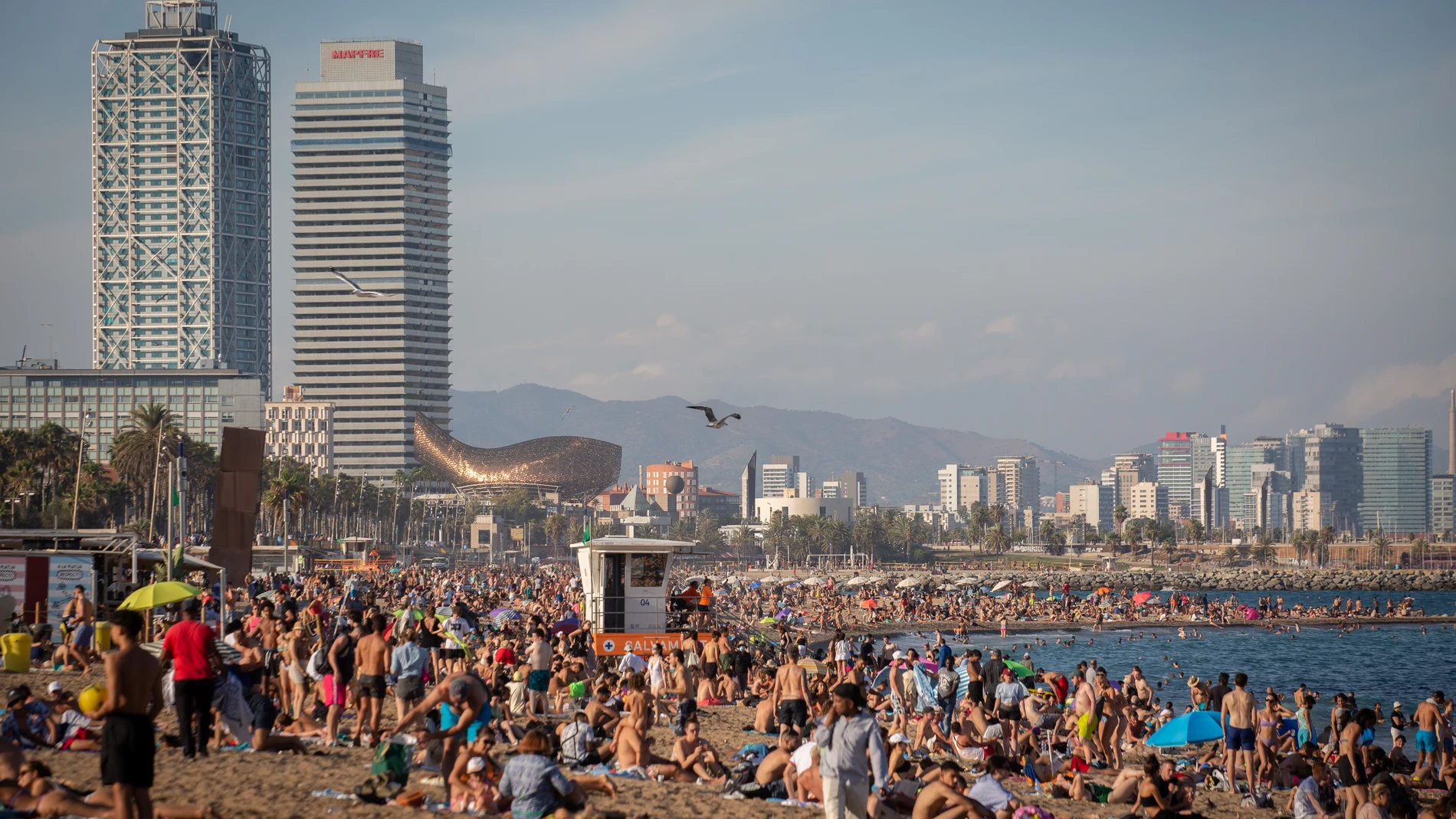 Imagen de la playa de la Barceloneta, en Barcelona
