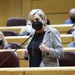 La senadora y presidenta del PP de Segovia, Paloma Sánz, en la Cámara Alta
