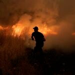 Solo a Grecia han llegado en los últimos días nueve aviones, cerca de mil bomberos y 200 vehículos.