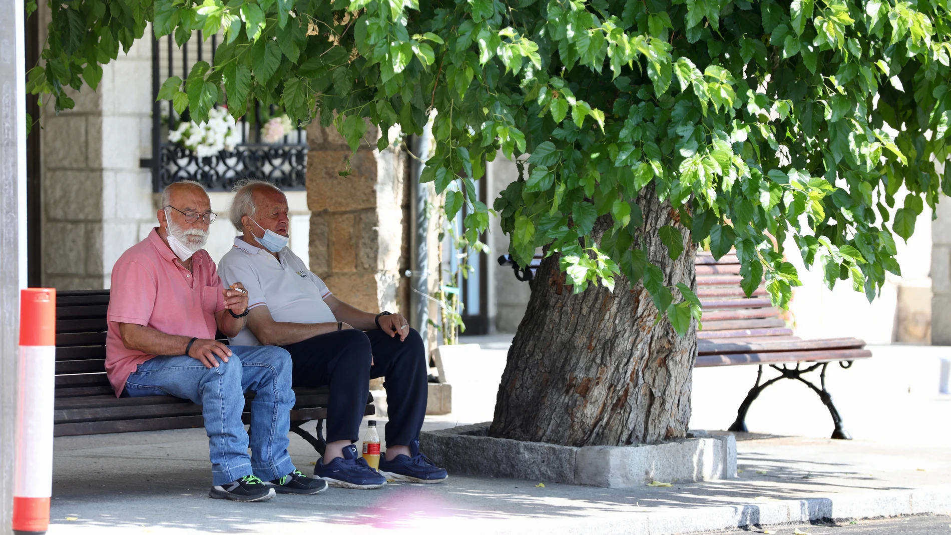 Un par de jubilados se resguardan del calor bajo un árbol