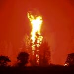 En Eubea operan actualmente 873 bomberos, incluidos efectivos llegados a través del mecanismo de asistencia europeo; 229 vehículos y 15 medios aéreos, además de fuerzas de la guardia costera y del ejército