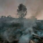 Imagen de un incendio.
