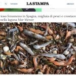 La comunidad internacional, y los medios de comunicación extranjeros, también han dado voz a la tragedia de la Región de Murcia.