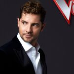 Bisbal, asesor de La Voz