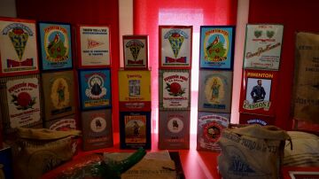 Botes hist&oacute;ricos del piment&oacute;n de la Vera.