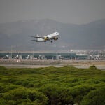 Un avión vuela por el espacio protegido de la Ricarda, en El Prat de Llobregat