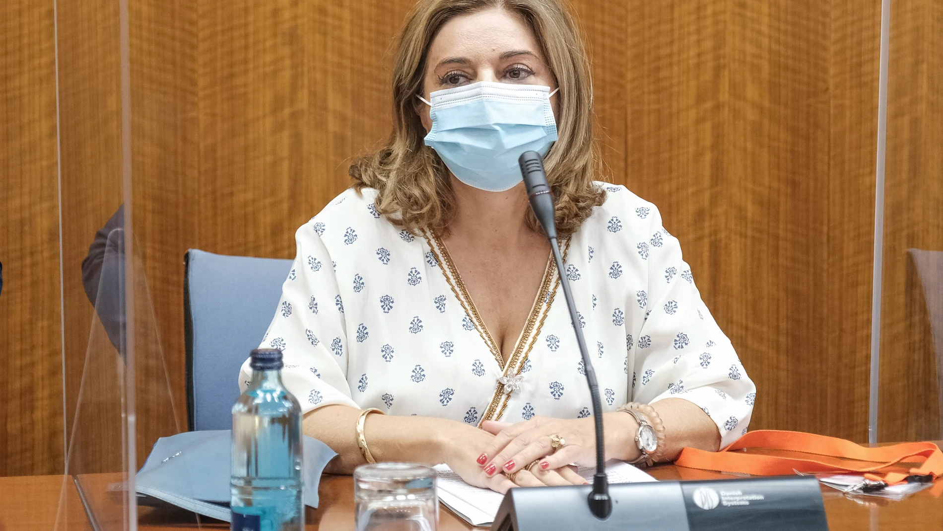 Carmen Ibanco, en la comisión de investigación de la Faffe del Parlamento andaluz. ALFREDO DE ANCA