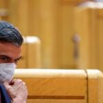 El presidente del gobierno Pedro Sánchez, ayer durante la sesión de control al Gobierno en el Senado. EFE/Kiko Huesca