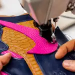 Surgeon Creators Academy